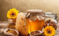 Η Περιφερειακή Ενότητα Πιερίας  στο 9το  Φεστιβάλ Ελληνικού Μελιού & Προϊόντων Μέλισσας-1,2 και 3 Δεκεμβρίου 2017