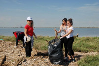 7η Εκστρατεία Εθελοντικών Καθαρισμών 2016 στην προστατευόμενη περιοχή Δέλτα Αξιού
