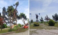 AIGINIONEWS: Δράσεις αποψιλώσεων καθαρισμού και ευπρεπισμού χώρων και κλαδέματος δένδρων στο δήμο Πύδνας-Κολινδρού
