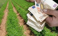 Κατάσχεση των αγροτικών επιδοτήσεων - Τι ισχύει επιτέλους ;
